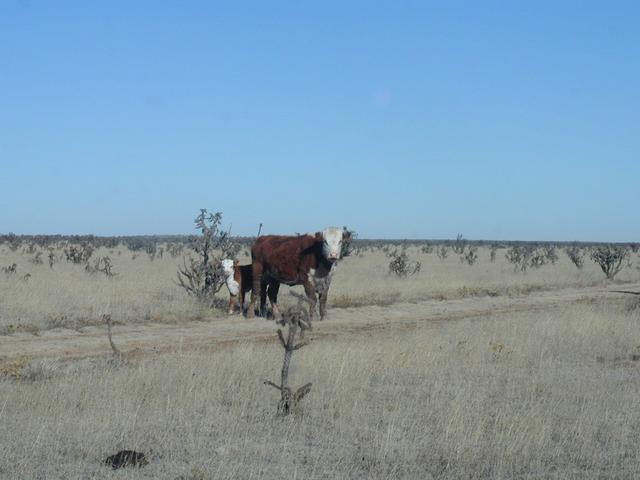 Some of the folks who live nearby.