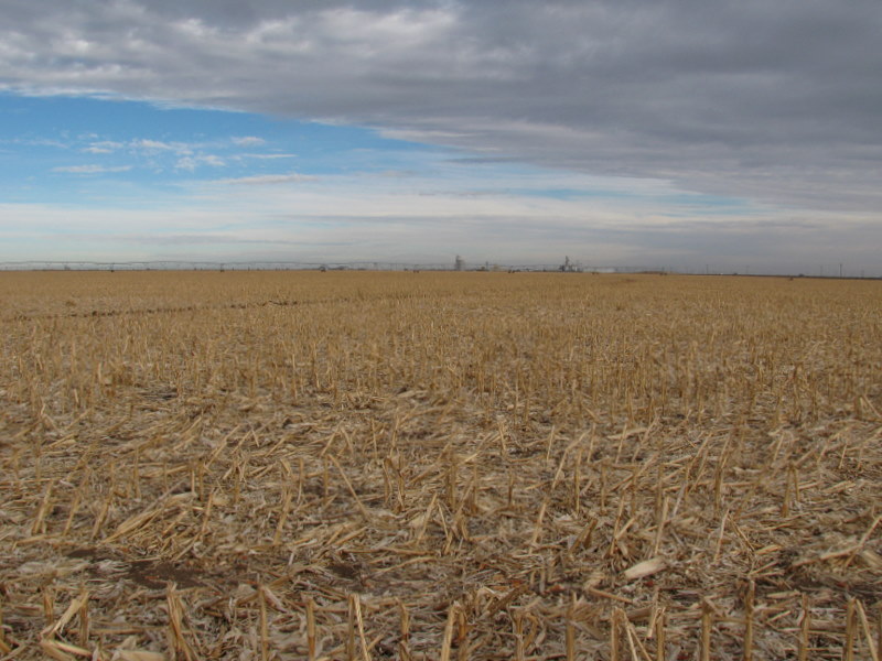 Looking North towards the town of Cactus