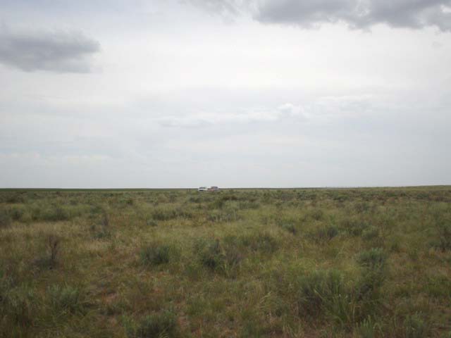 Looking south to the trucks and property line