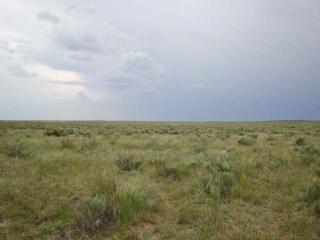 #1: Looking west:  yucca plants, sagebrush, and an approaching storm