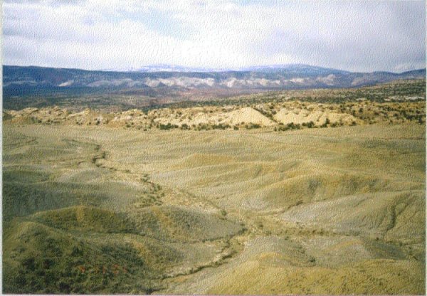 Looking west towards the Water Pocket Fold
