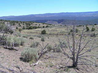 #1: View to the northeast in beautiful central Utah from the confluence.