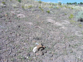 #1: The confluence point lies on a rocky, sparsely-vegetated hillside