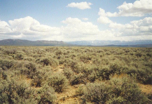 Looking east towards the snow-capped peaks of the Dixie National Forest