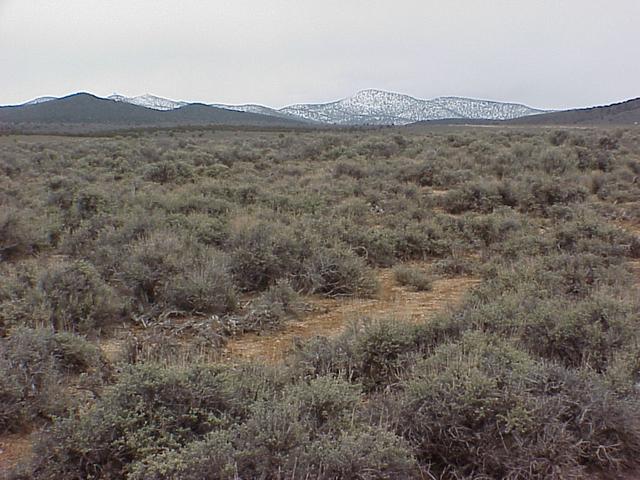 View to the north from the confluence site.