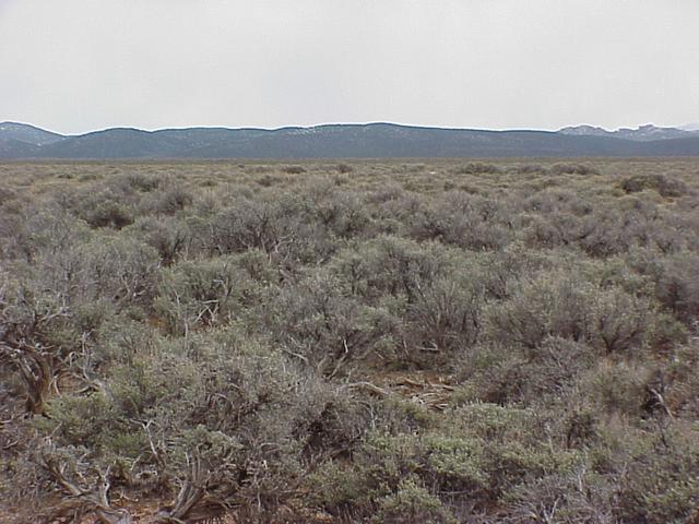 View to the east from the confluence site.