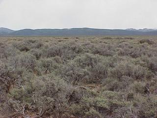 #1: View to the east from the confluence site.