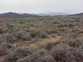 #4: View to the north from the confluence site.