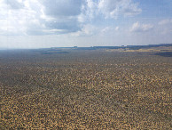 #11: View West, from 120m above the point