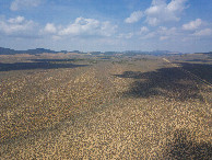 #8: View North, from 120m above the point