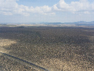 #9: View East, from 120m above the point