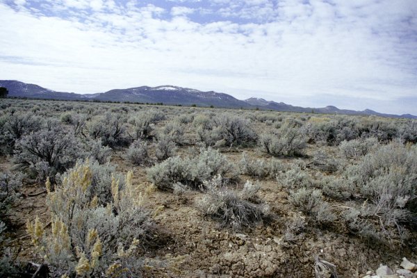 Mountains west of the confluence