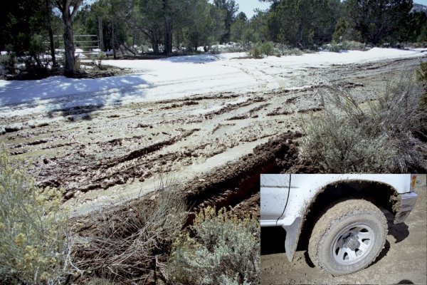 Muddy road & tire