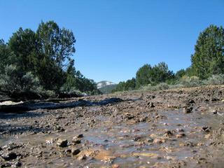 #1: View west down the very muddy State Line Road