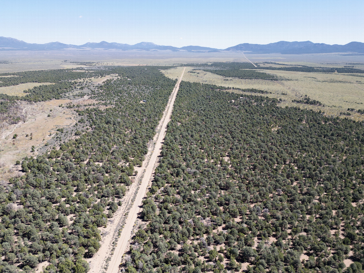 View East, from 120m above the point