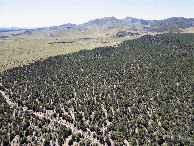 #10: View South, from 120m above the point