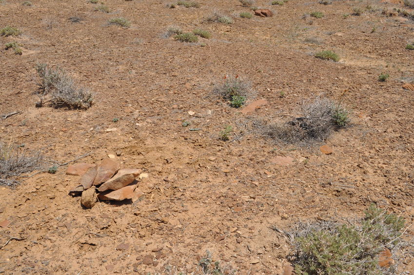 The confluence point lies within a desert area.  (A rock cairn left by a previous visitor marks the point.)