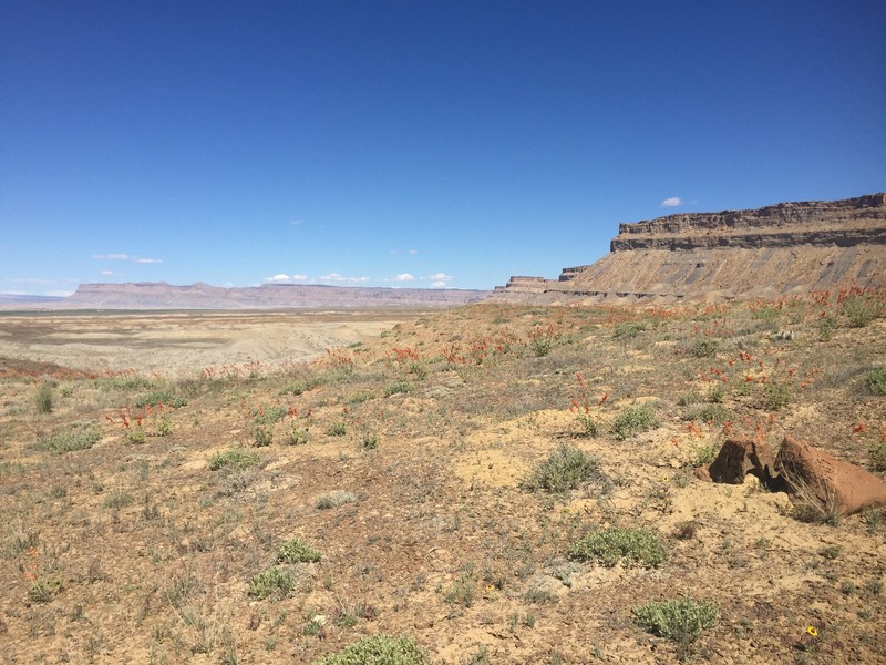 View to the west from the confluence. 