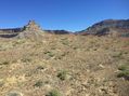 #3: View to the north from the confluence. 