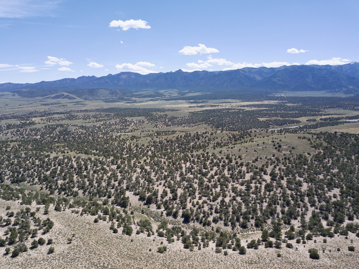 Looking South from 120m above the point