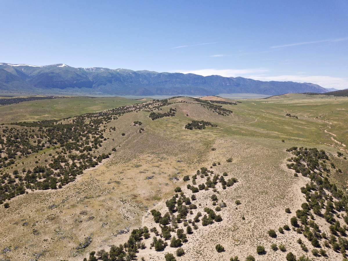 Looking West from 120m above the point