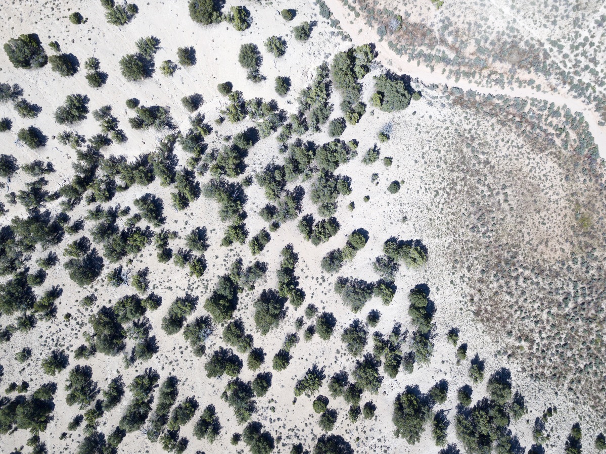 Looking down on the point from a height of 120m