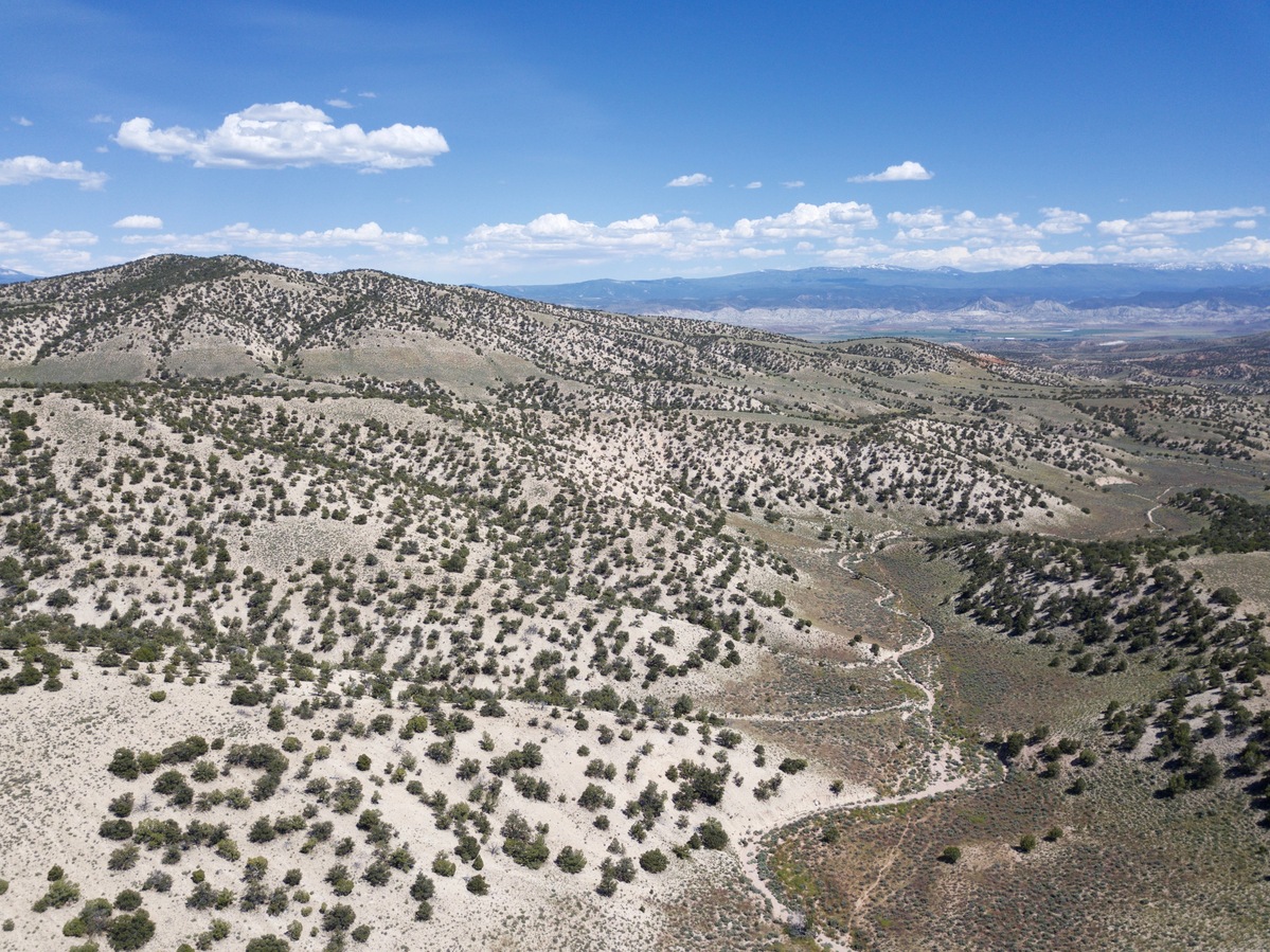 Looking East from 120m above the point