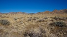 #2: View East (towards the Cricket Mountains)