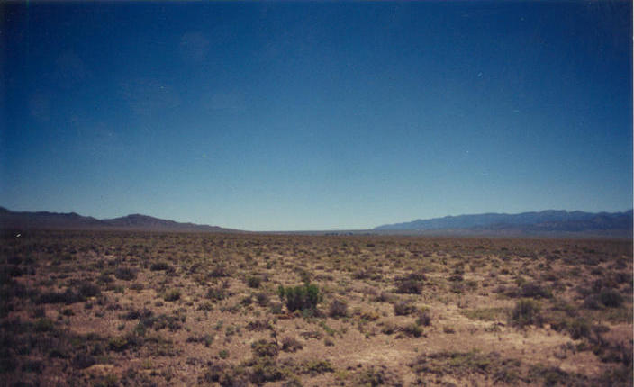 Looking north with the Burbank Hills on the right and the Snake Range on the left.