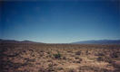 #3: Looking north with the Burbank Hills on the right and the Snake Range on the left.