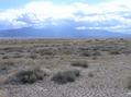 #5: View West (13000' Wheeler Peak, in Great Basin National Park, Nevada)