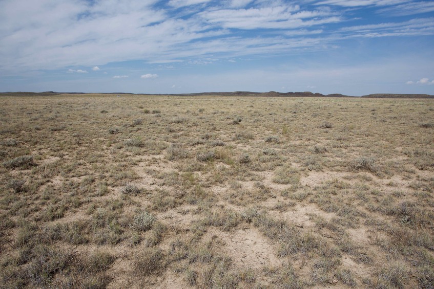 View West (towards Sand Wash Road, ¼ mile away)