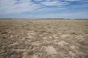 #4: View West (towards Sand Wash Road, ¼ mile away)