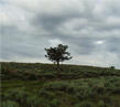 #2: the mountain top above the confluence point