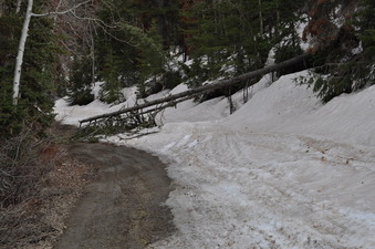 #1: This is as close as I could get - 2.1 miles from the confluence point