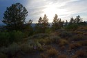 #4: View West (into the late afternoon sun)