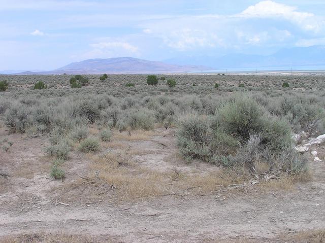 View North (Utah Lake)