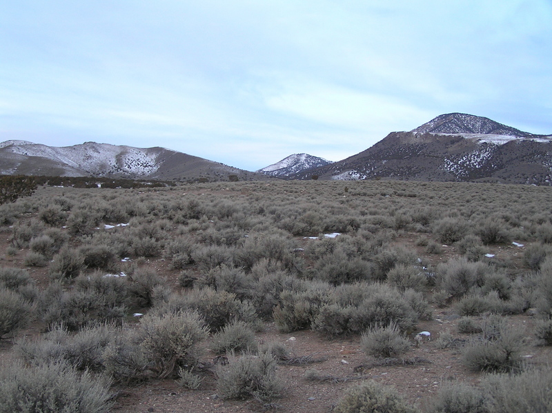 View to the west from the confluence point.