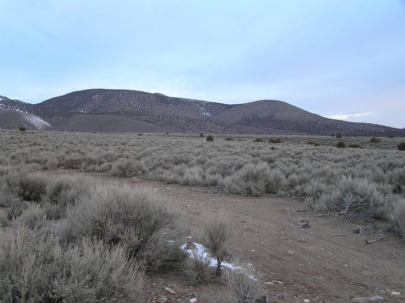 View to the northwest from the confluence point.