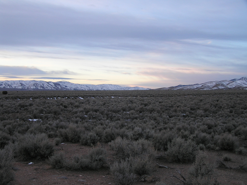 View to the south from the confluence point.