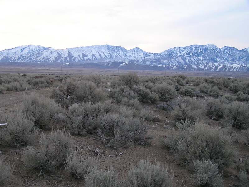 View to the southwest from the confluence. 