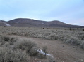 #4: View to the northwest from the confluence point.