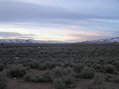 #5: View to the south from the confluence point.