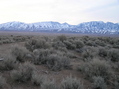 #8: View to the southwest from the confluence. 