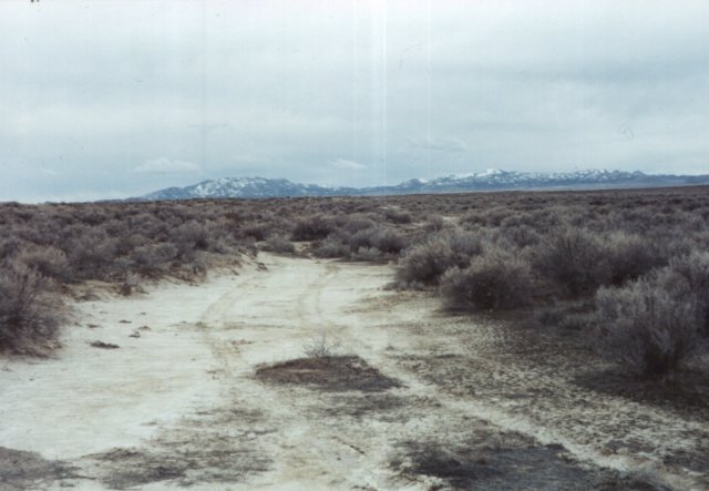 Tracks headed south.  Not what you like to see after a 4-mile hike.