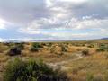 #4: View south