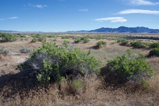 #1: This confluence point lies in a remote desert region.  (This is also a view to the South, towards the Dugway Range.)