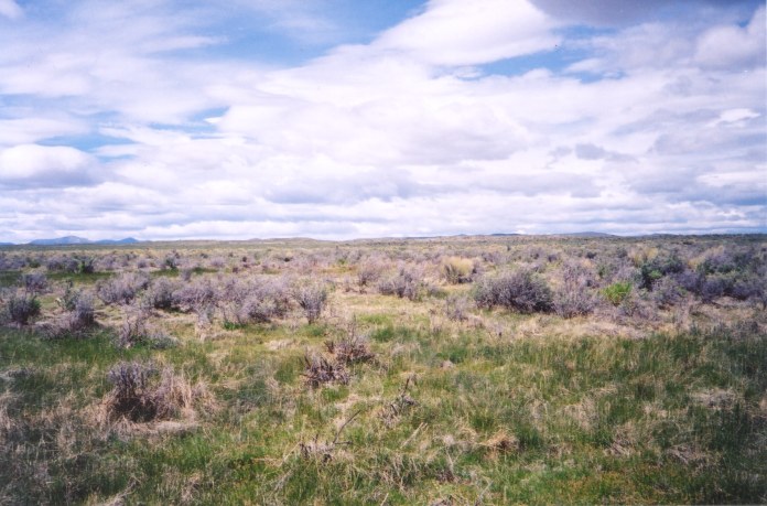 West from confluence