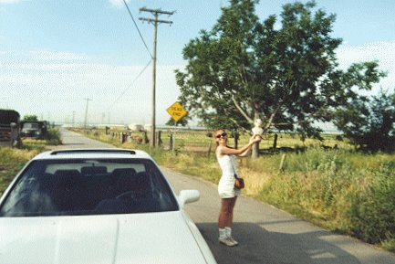 Holly with Wagner at a Dead End.
