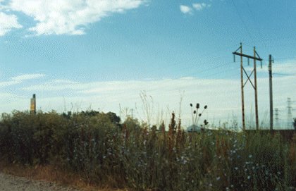 Powerlines through a field.